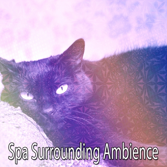 Couverture de Spa Surrounding Ambience