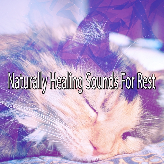 Naturally Healing Sounds For Rest