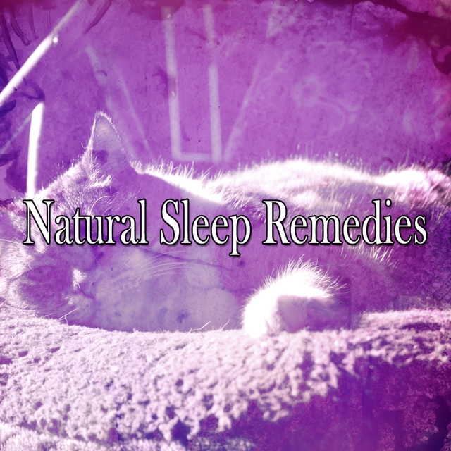 Natural Sleep Remedies