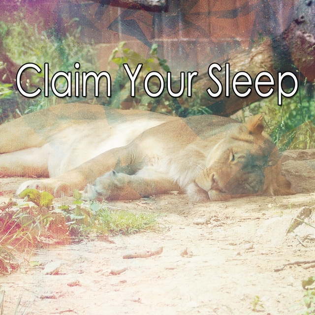 Couverture de Claim Your Sleep