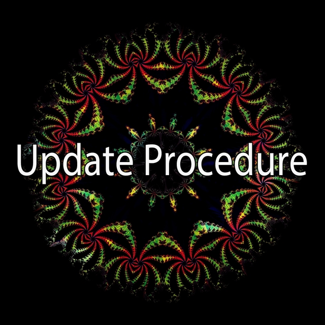 Couverture de Update Procedure