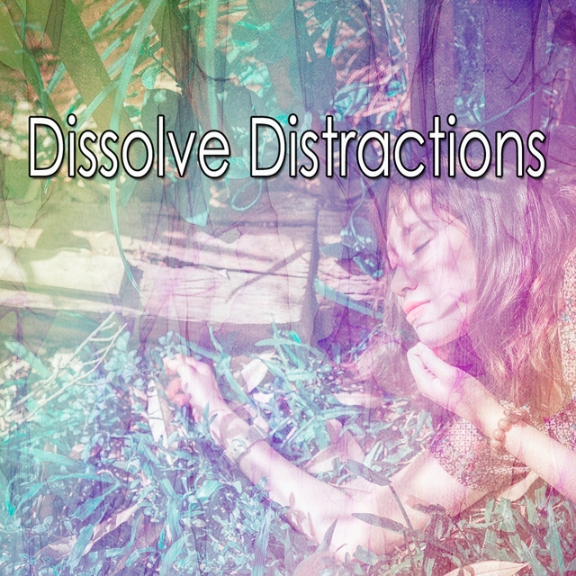 Couverture de Dissolve Distractions