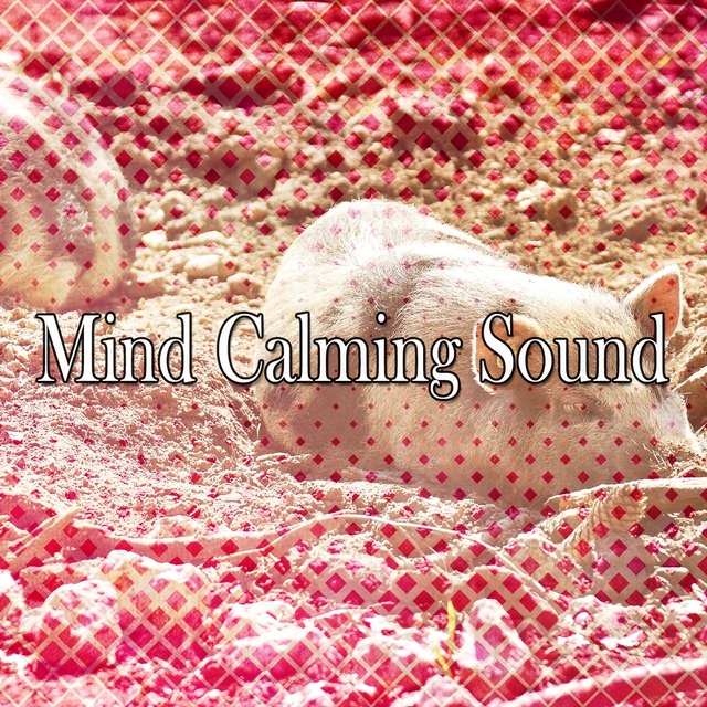 Mind Calming Sound