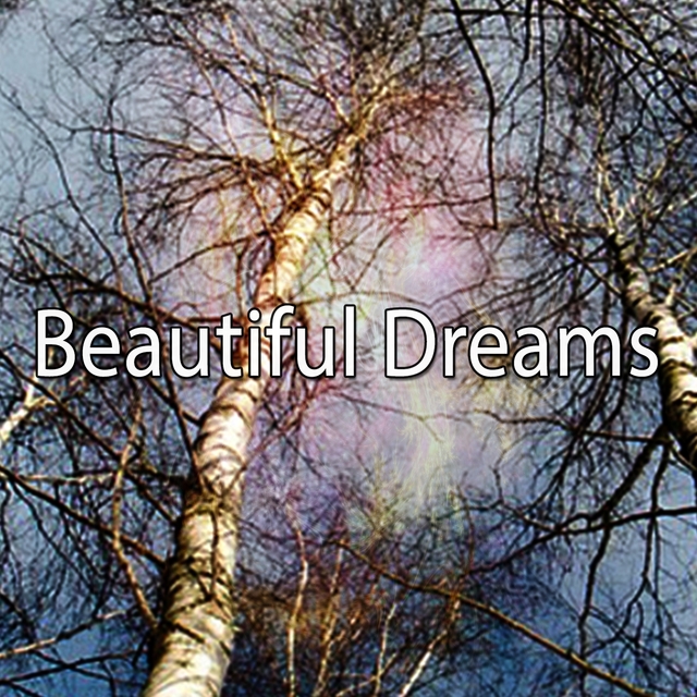 Couverture de Beautiful Dreams