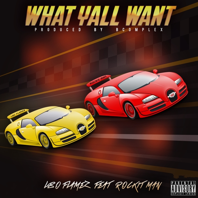 Couverture de What Yall Want