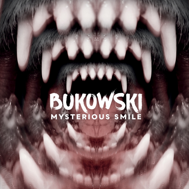 Couverture de Mysterious Smile