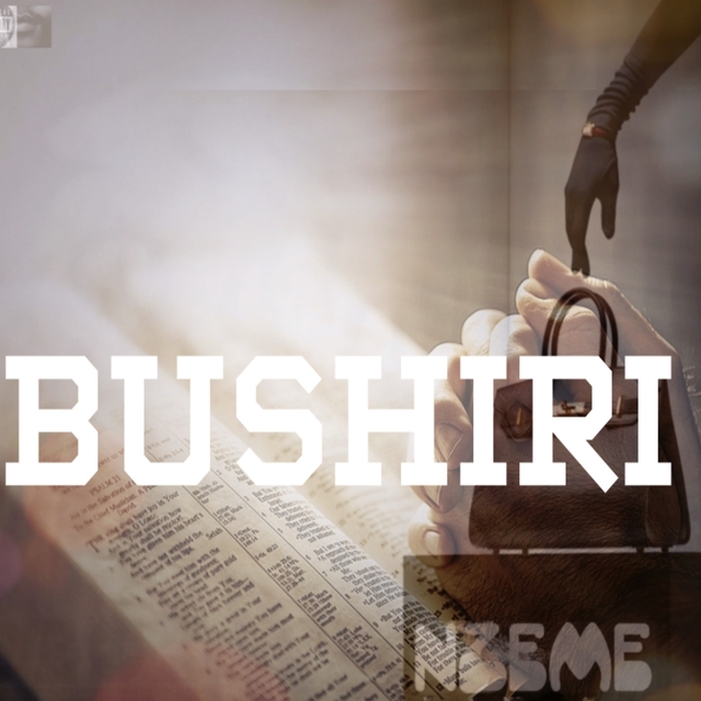 Couverture de Bushiri