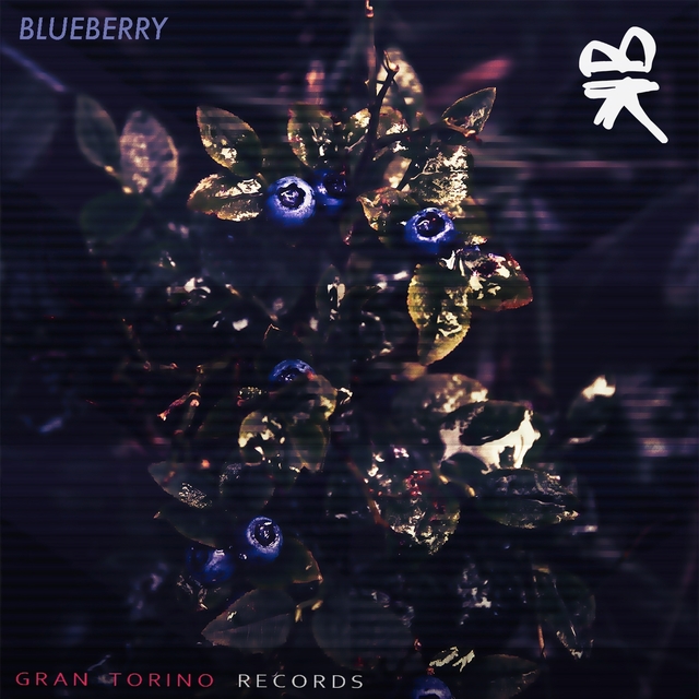 Couverture de Blueberry