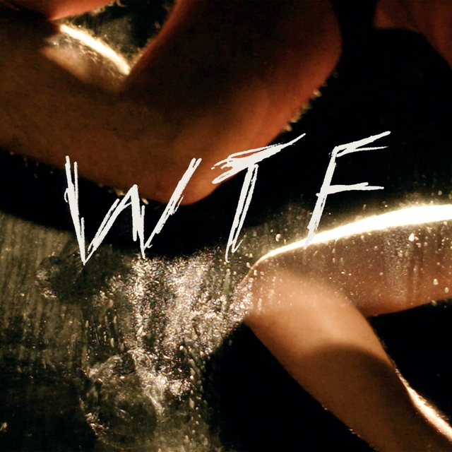 Couverture de WTF