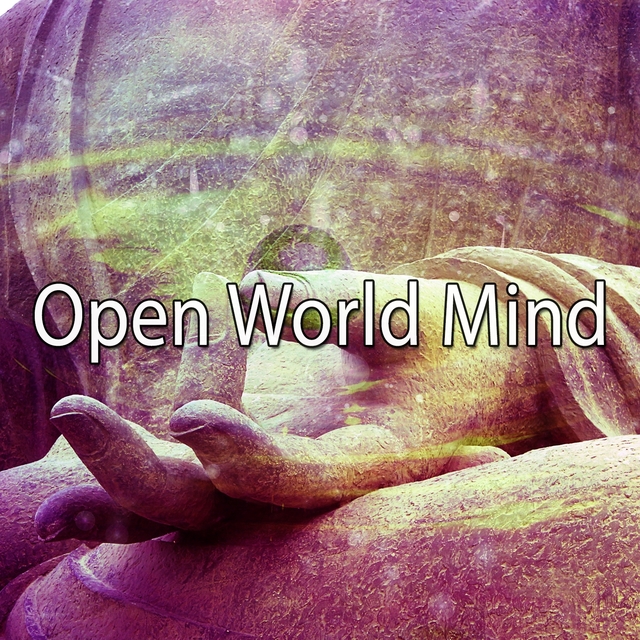 Couverture de Open World Mind