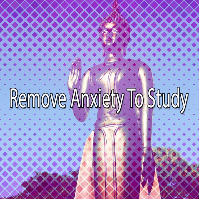 Couverture de Remove Anxiety To Study