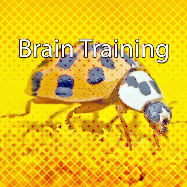 Couverture de Brain Training