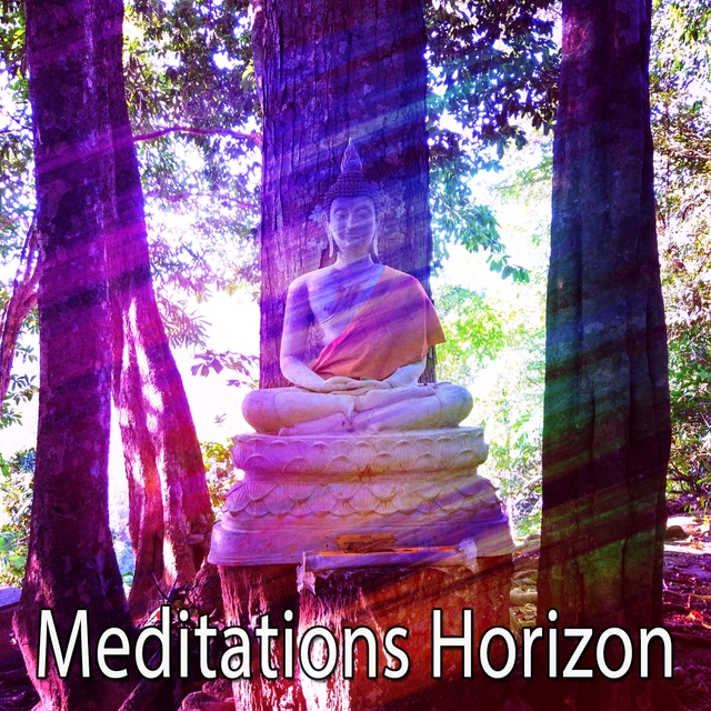 Couverture de Meditations Horizon