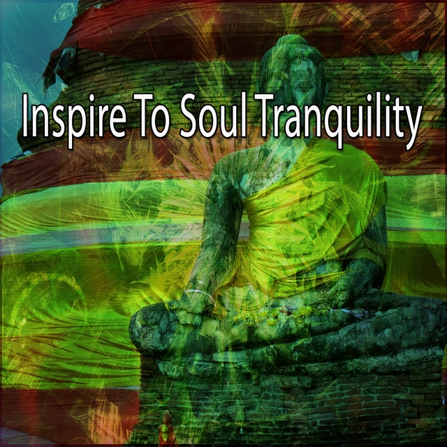 Couverture de Inspire To Soul Tranquility