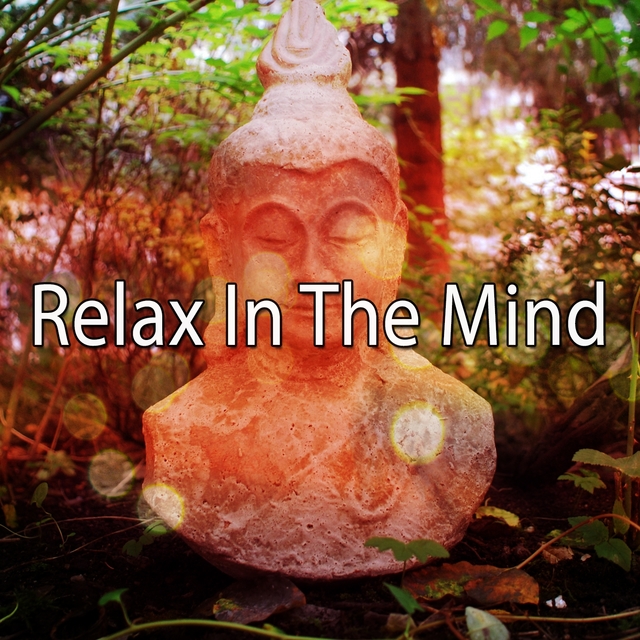 Couverture de Relax In The Mind