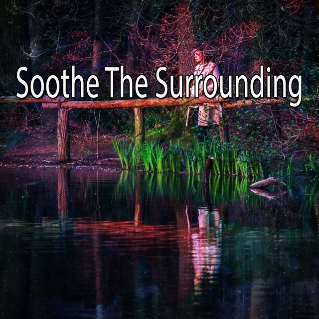 Couverture de Soothe The Surrounding