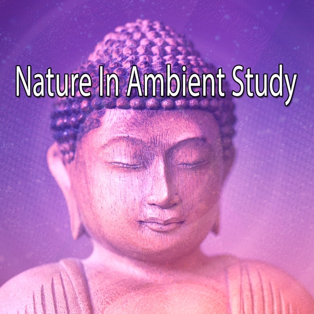 Couverture de Nature In Ambient Study