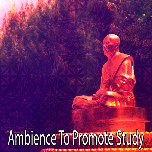 Couverture de Ambience To Promote Study