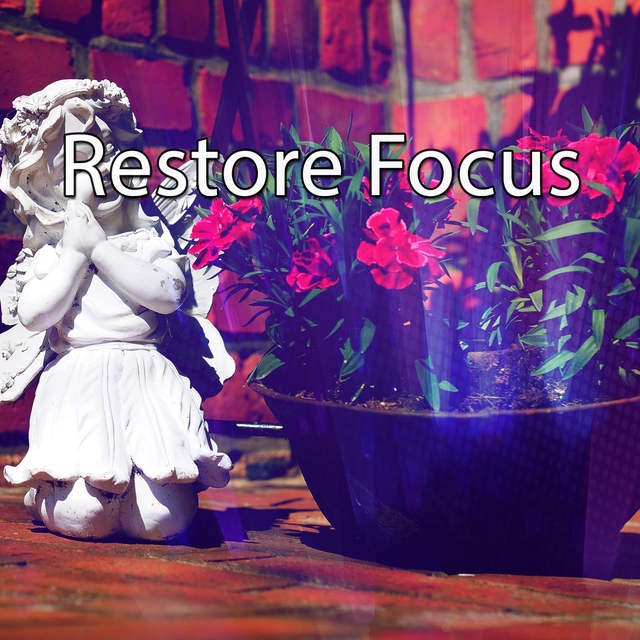 Couverture de Restore Focus