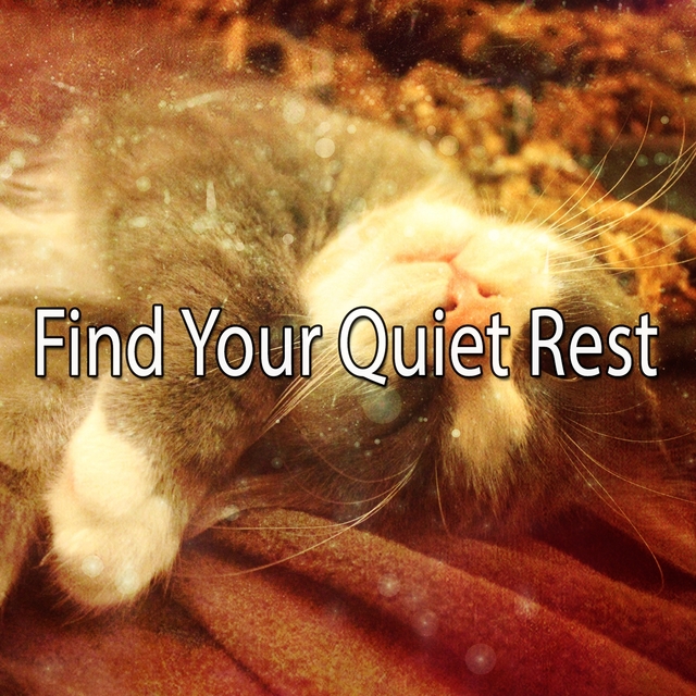 Couverture de Find Your Quiet Rest