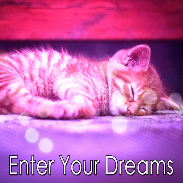 Enter Your Dreams