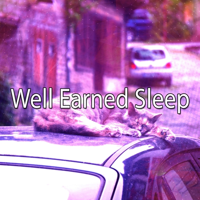 Couverture de Well Earned Sleep