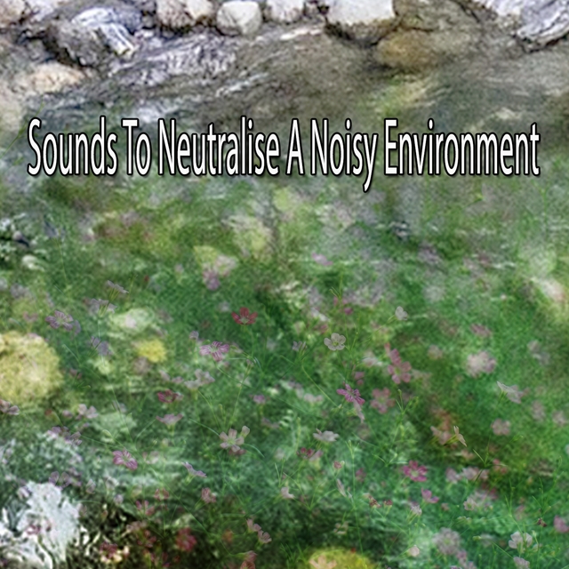 Couverture de Sounds To Neutralise A Noisy Environment