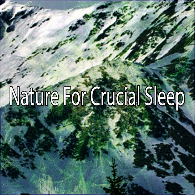 Couverture de Nature For Crucial Sleep