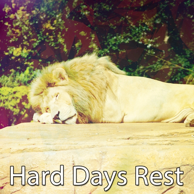 Hard Days Rest