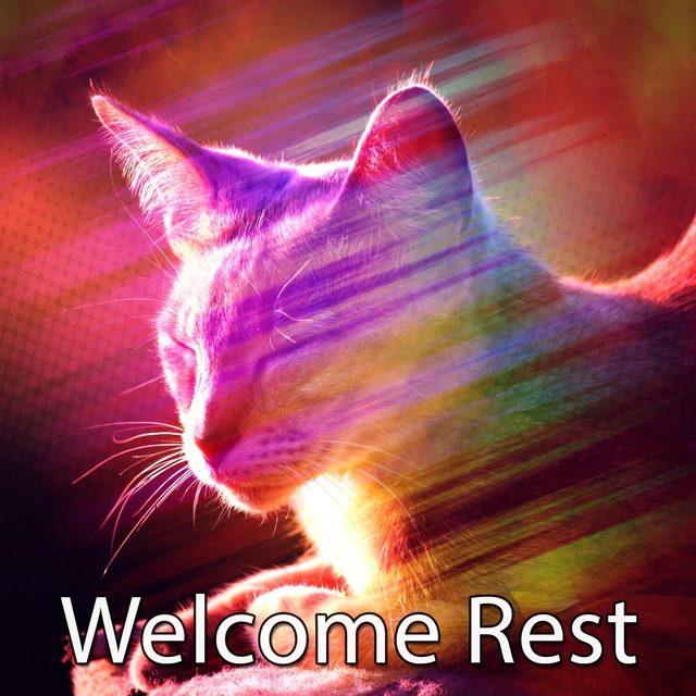 Couverture de Welcome Rest