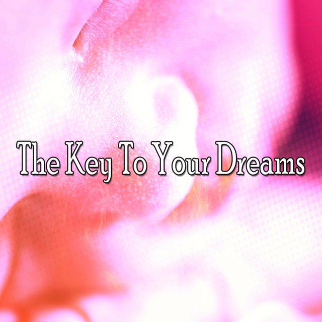 Couverture de The Key To Your Dreams