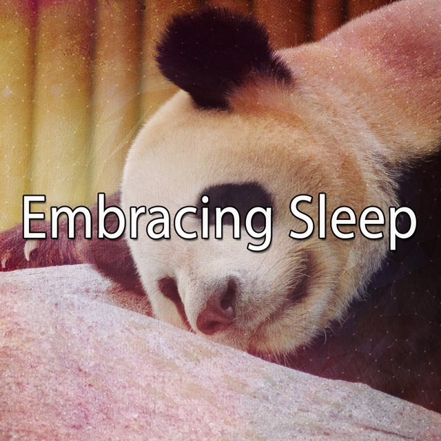 Embracing Sleep