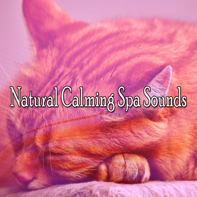 Couverture de Natural Calming Spa Sounds