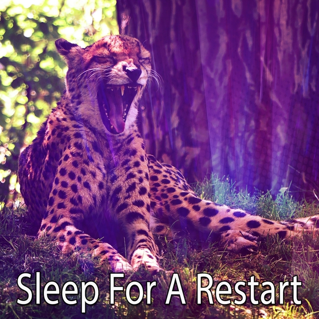 Sleep For A Restart