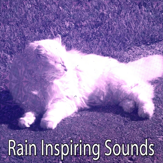 Couverture de Rain Inspiring Sounds