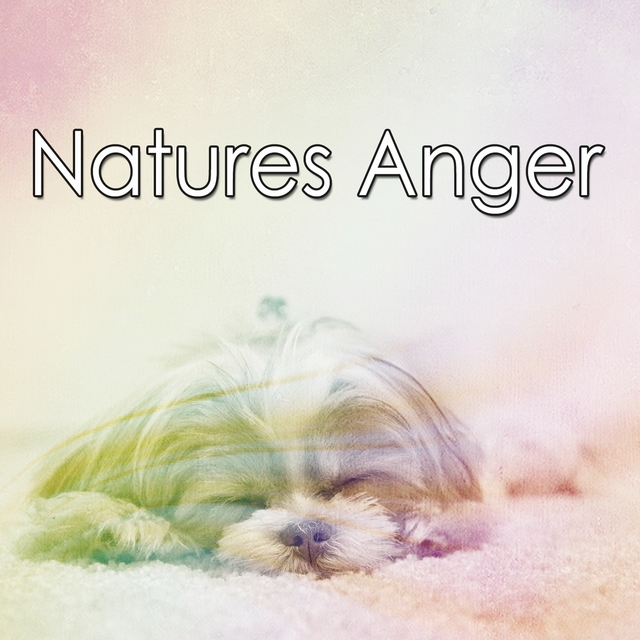 Natures Anger