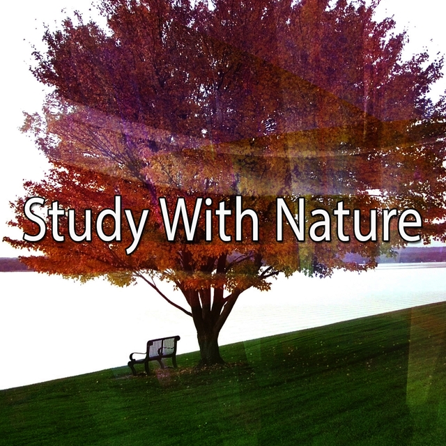 Couverture de Study With Nature