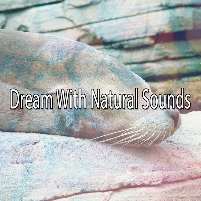 Couverture de Dream With Natural Sounds