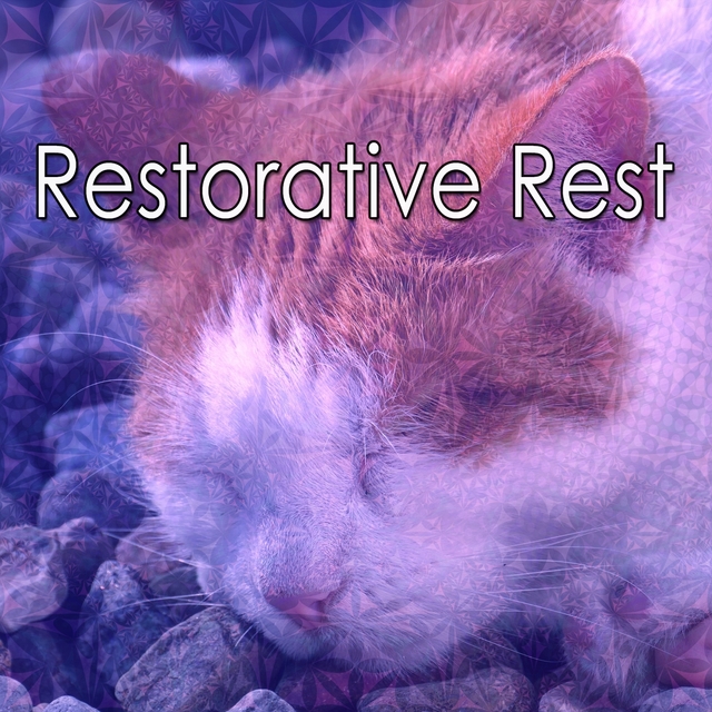 Couverture de Restorative Rest