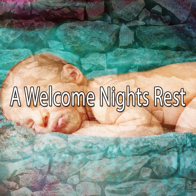 Couverture de A Welcome Nights Rest