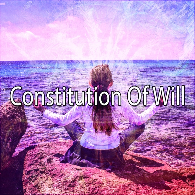 Couverture de Constitution Of Will