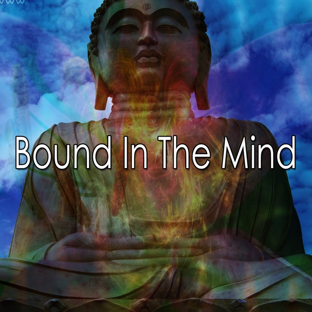 Couverture de Bound In The Mind