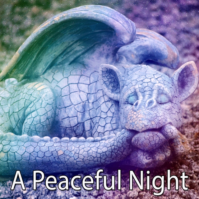 Couverture de A Peaceful Night