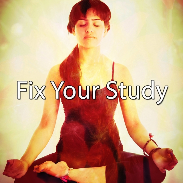 Couverture de Fix Your Study