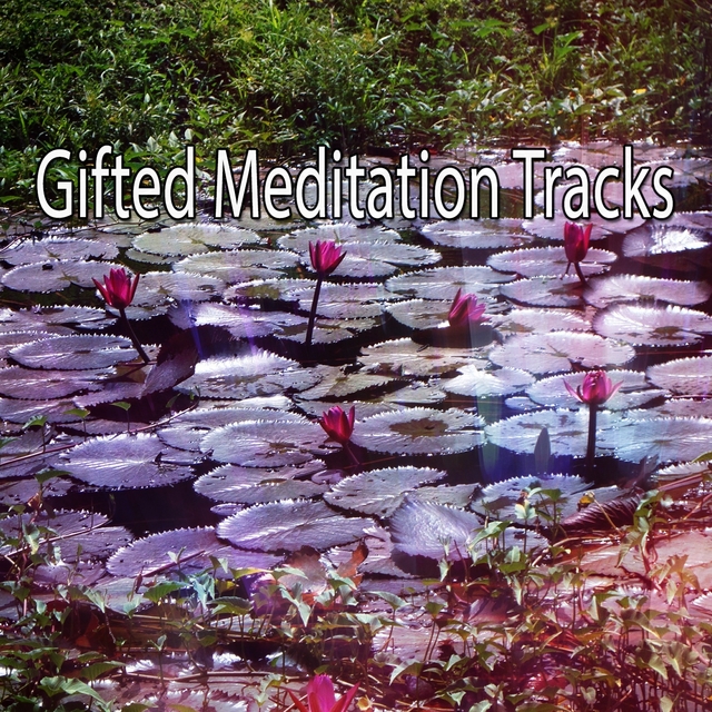 Gifted Meditation Tracks