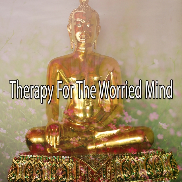 Couverture de Therapy For The Worried Mind