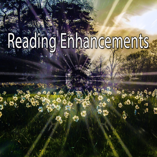 Couverture de Reading Enhancements