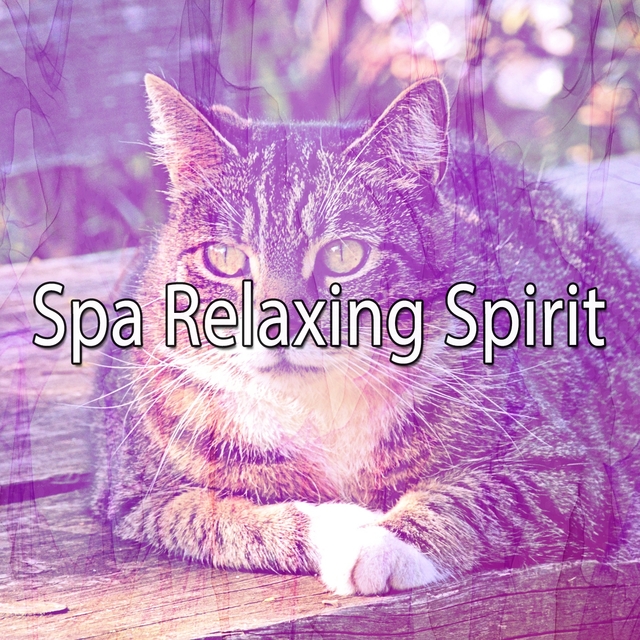 Spa Relaxing Spirit