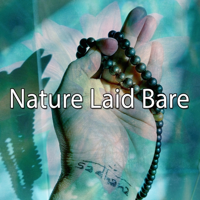 Nature Laid Bare