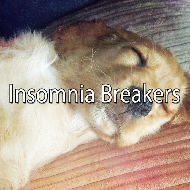 Insomnia Breakers